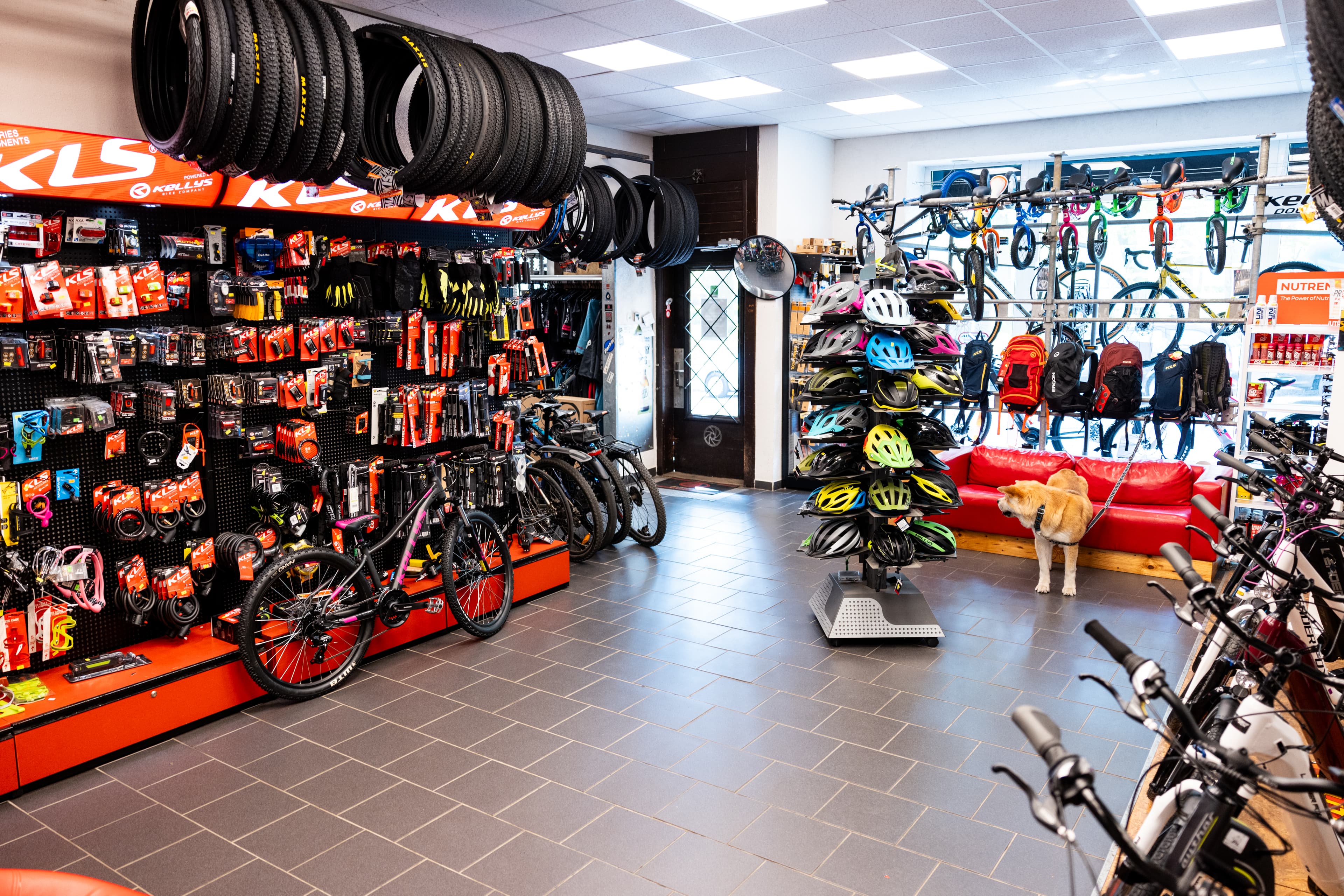 Servis